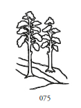 Dekor 075, två träd i en sluttning