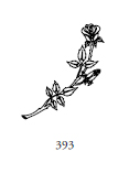 Dekor 393, blomma