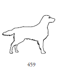 Dekor 459, hund, golden