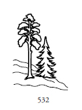 Dekor 532, ett träd och en gran bredvid varandra